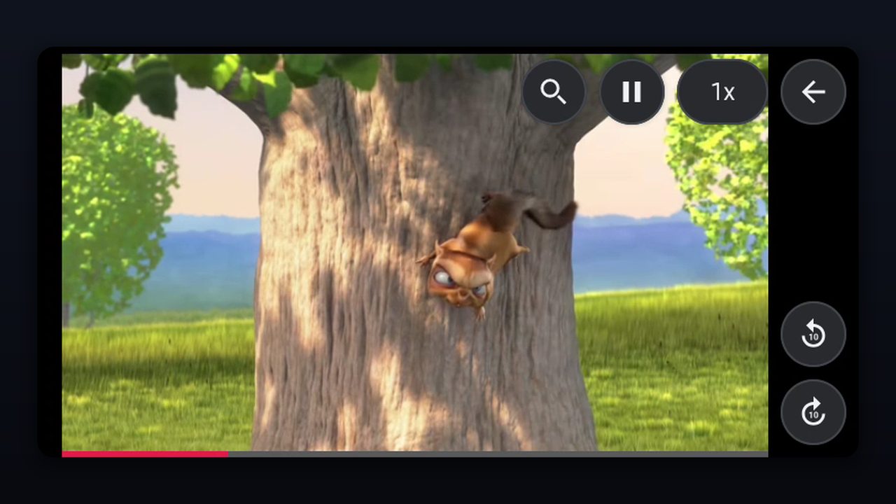 WS Video